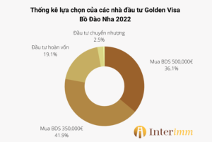 thong-ke-lua-chon-dau-tu-cua-nha-dau-tu-golden-visa-2022